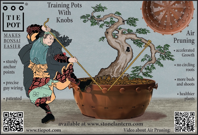 Bonsai Tie Pots in Hoosierland, An In-depth Review | Bonsai Bark