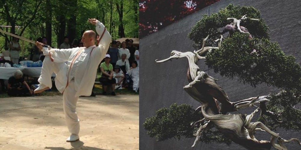 Tai Chi at the National Bonsai & Penjing Museum
