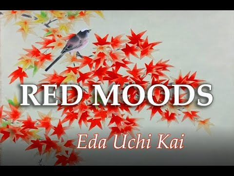An impression of the  Eda Uchi Kai show