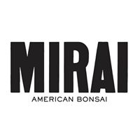 The Force of Form | Bonsai Mirai