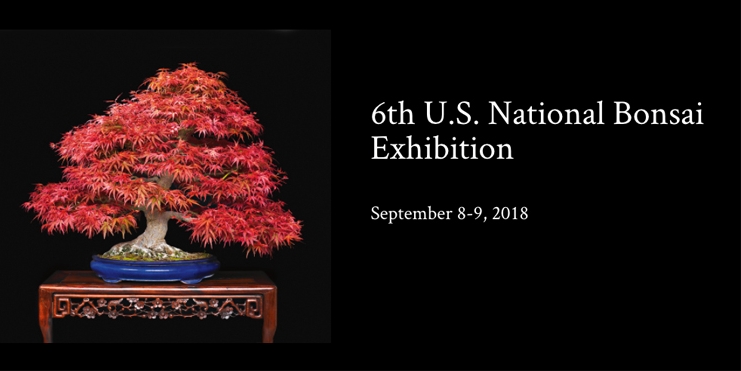 A Celebration of American Bonsai | Bonsai Bark